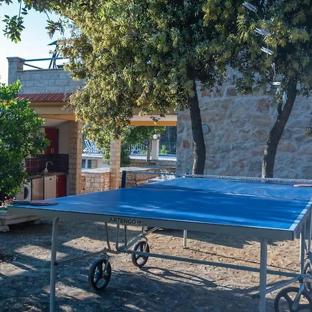 Pet Friendly In Cara