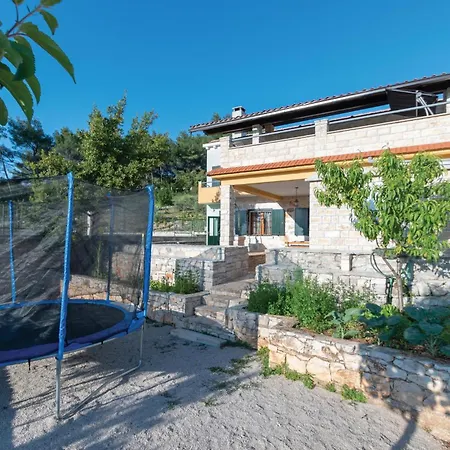 Pet Friendly In Cara