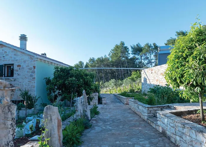 Pet Friendly In * Čara