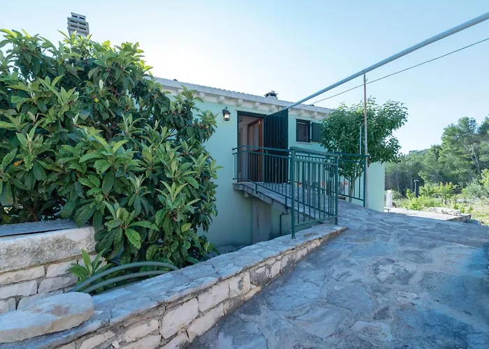 Pet Friendly In Čara