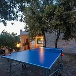 Pet Friendly In