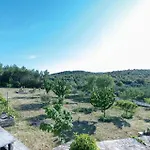 Pet Friendly In Holiday home Cara