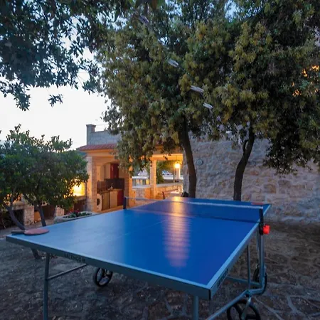 Pet Friendly In Cara