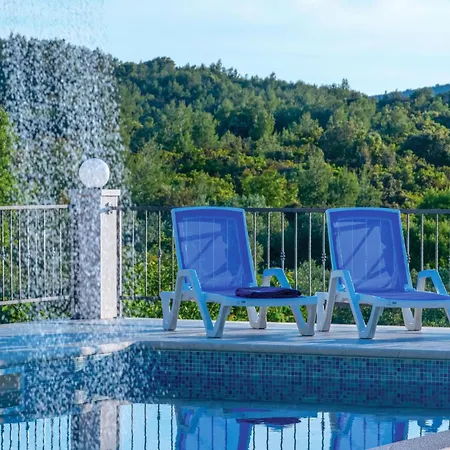 Pet Friendly In Cara