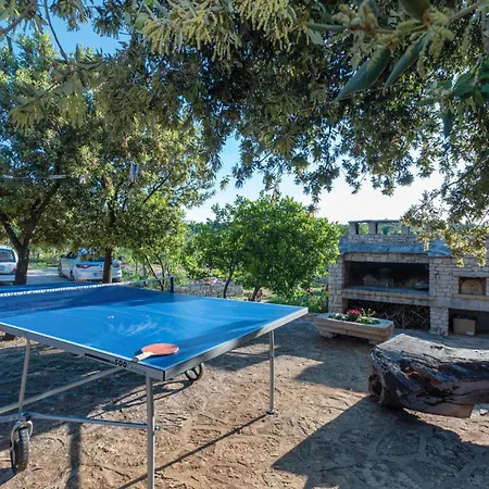 Pet Friendly In Cara Čara