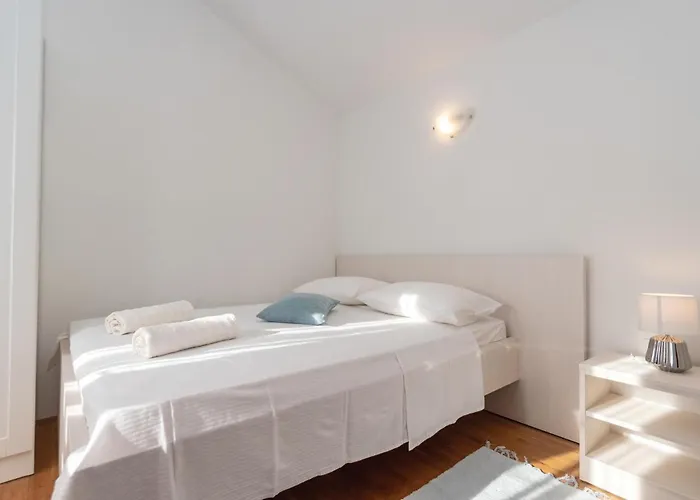 Pet Friendly In Tatil Evi