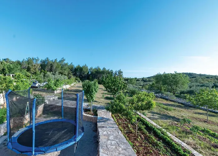 Pet Friendly In Tatil Evi *