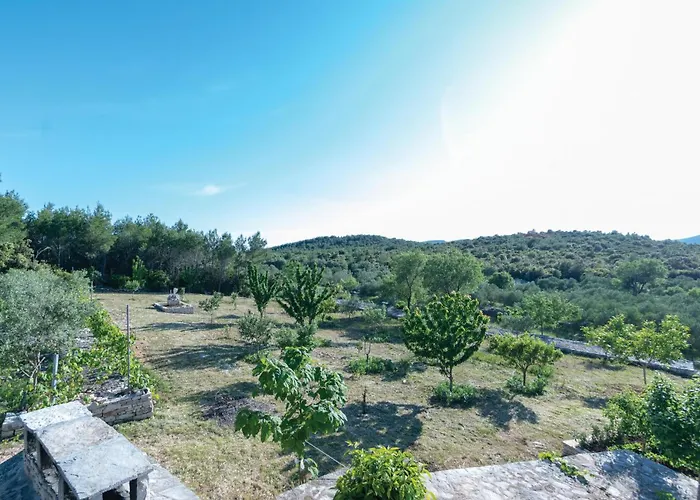 Pet Friendly In Tatil Evi Čara