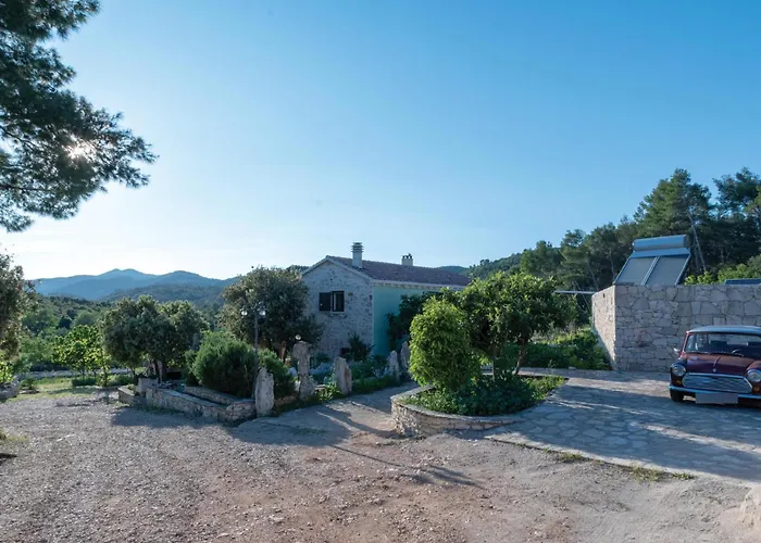 Pet Friendly In Tatil Evi Čara