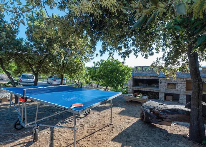 Pet Friendly In Čara